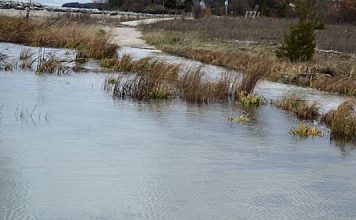 High winds and high water levels pound Lake Huron shoreline