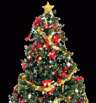 The MyattFam sing Songs of Christmas