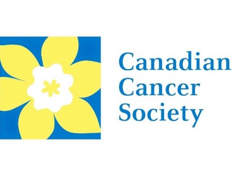 Daffodil Campaign looking for volunteers | Saugeen Times