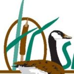 SVCA and Saugeen Shores at an impasse over CCV – a lengthy read