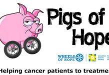 Pigs of Hope fundraise for Wheels of Hope