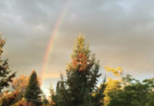 Is Southampton where there’s a pot ‘o’ gold?