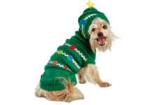 Chantry Centre Christmas Craft Show