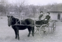 Once Upon a Time: “Bud and his Buddies”