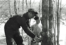 Once Upon a Time – Making Maple Syrup Part 2