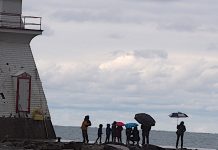 Southampton Harbour a beehive of Fall activity