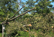 Sauble Parkway a disaster zone after major storm sweeps through
