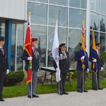 Plaque colour guard