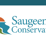 Saugeen Shores CCV application deemed incomplete