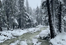 Do you know the difference between dead and living water – by Rev. Heather McCarrel