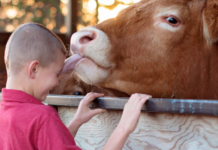 Youth encouraged to consider a future in agriculture