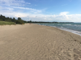 Port Elgin and Southampton beaches posted as Unsafe for Swimming