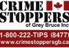 Crime Stoppers looking for public’s help in thefts