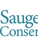 Saugeen Conservation issues a Flood Warning and Watches