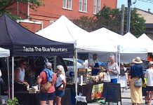 Summer Friday Markets a big hit with visitors and local residents