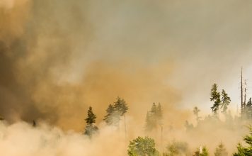 Yellow/orange air quality warnings issued