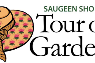 Tour of Gardens: Creativity doesn’t stop when downsizing a garden