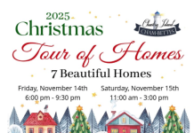 Cham-bettes Christmas Home Tour 2025: The Mann Home (Southampton)