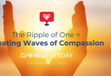 Giving Tuesday to Huron Shores Hospice can make a difference