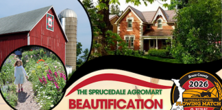 IPM Beautification Contest now officially open