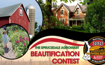 IPM Beautification Contest now officially open