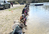 Young students learn about nature and release their raised fry into the Saugeen River