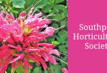 Saugeen Shores Tour of Gardens continues to grow in support of Hospice care