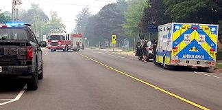 Collision temporarily closes Albert St. in Southampton