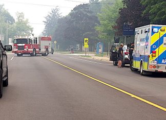 Collision temporarily closes Albert St. in Southampton