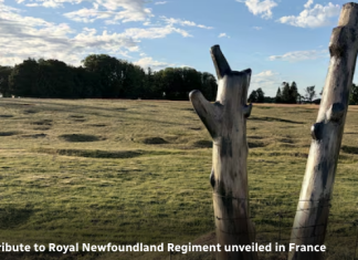 Reader sends a Special Newfoundland unveiling of the Danger Tree in France