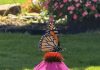 Tour of Gardens 2026 – Part 1