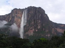 Travels with G. William Streeter: A jungle visit to Angel Falls